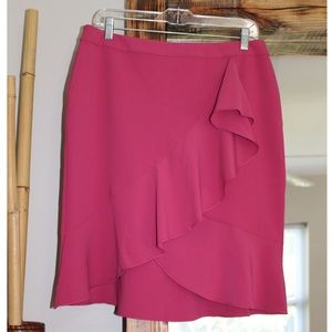 NWOT Ann Taylor Pink Skirt